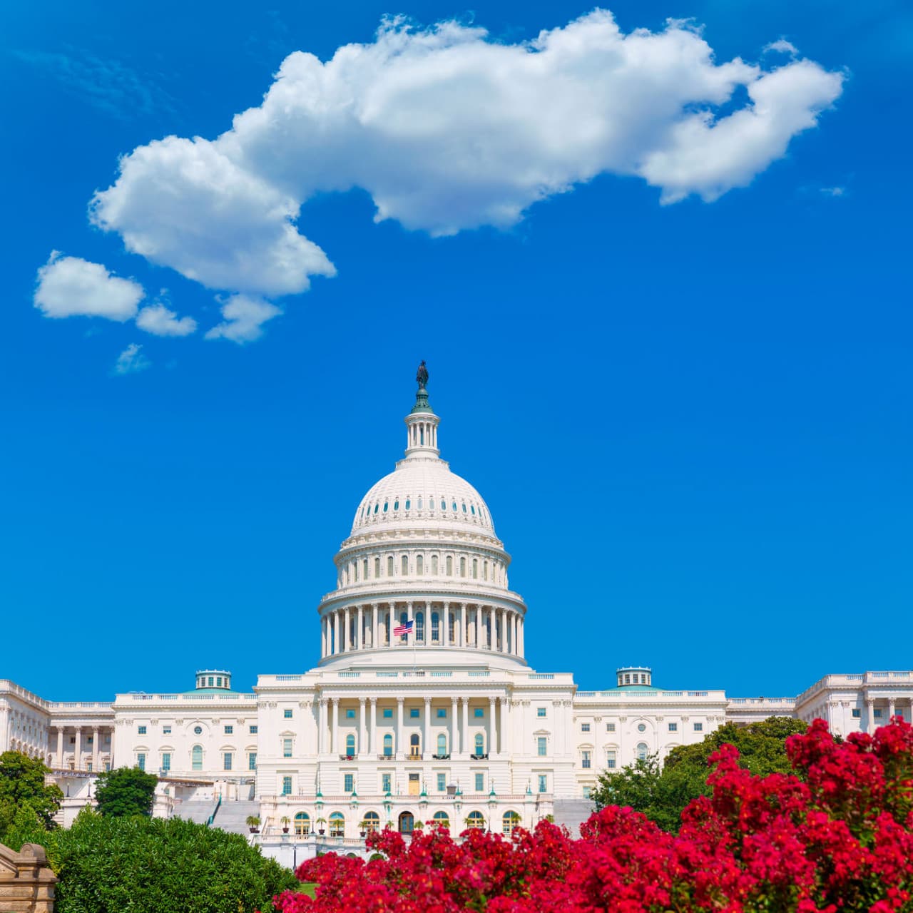 Washington DC and Philadelphia Tour from New York - სურათი 5