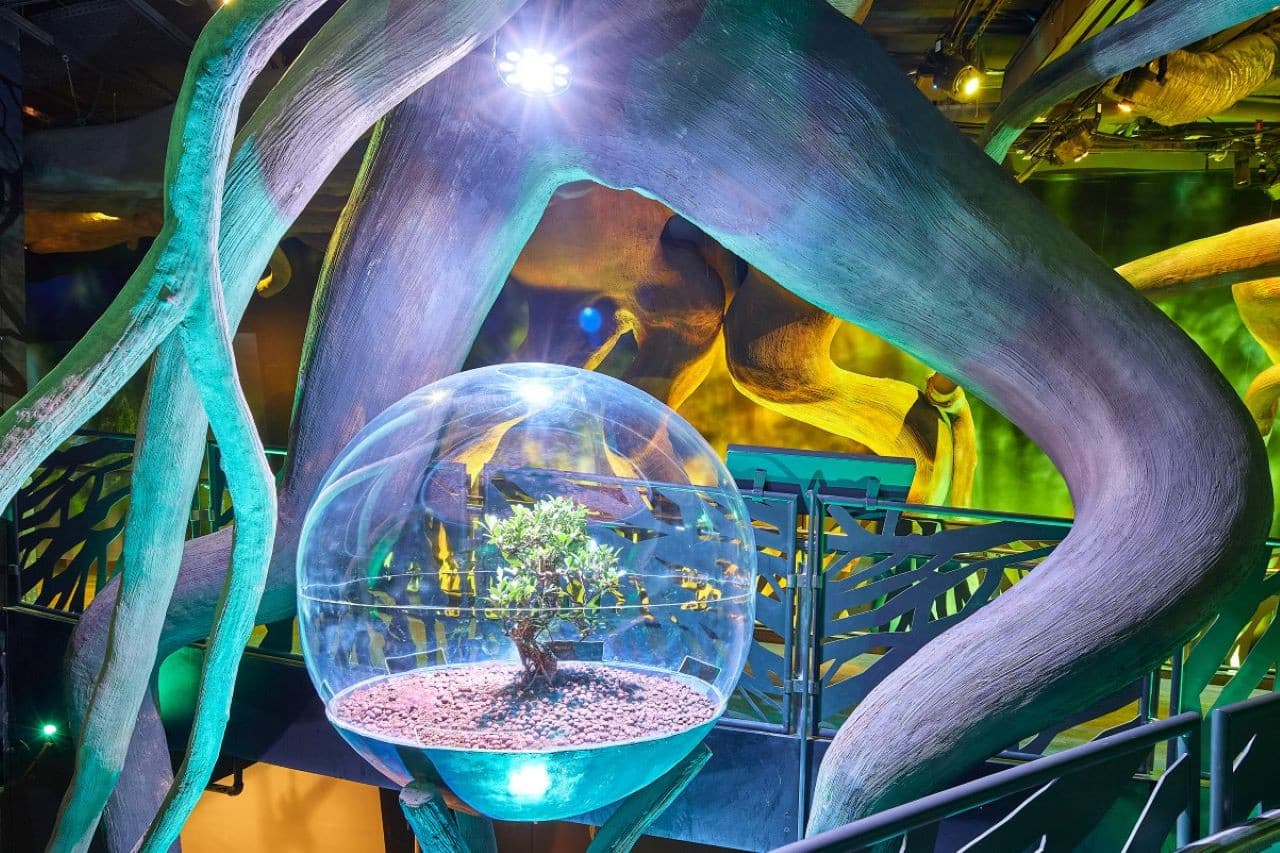Expo City Dubai Ticket - სურათი 8