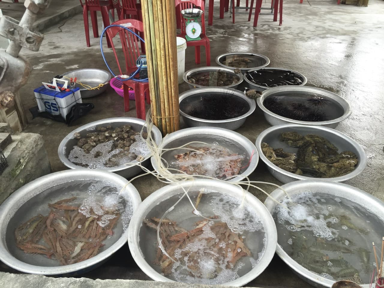 Cham Island Tour from Da Nang - სურათი 9