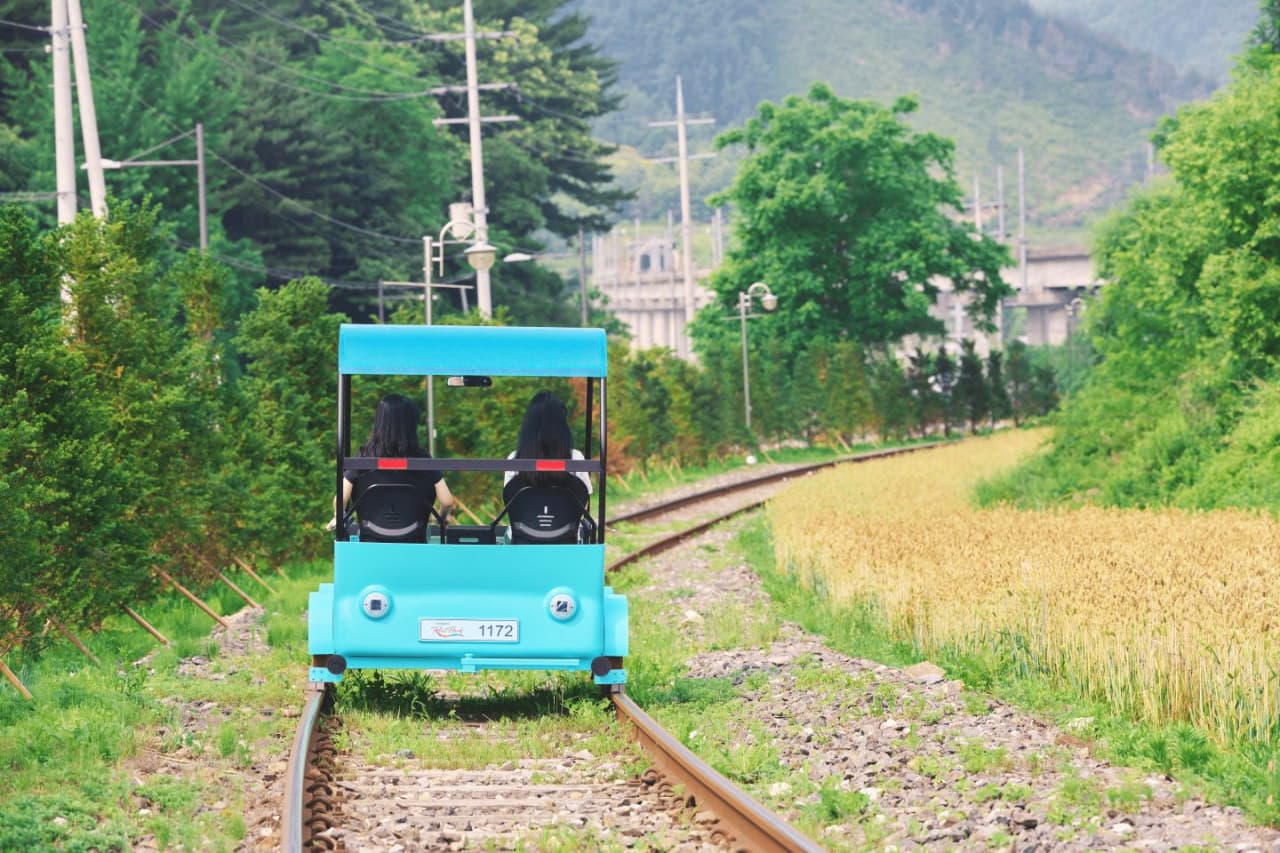 Alpaca World, Nami Island, and Garden of Morning Calm Tour from Seoul - სურათი 4