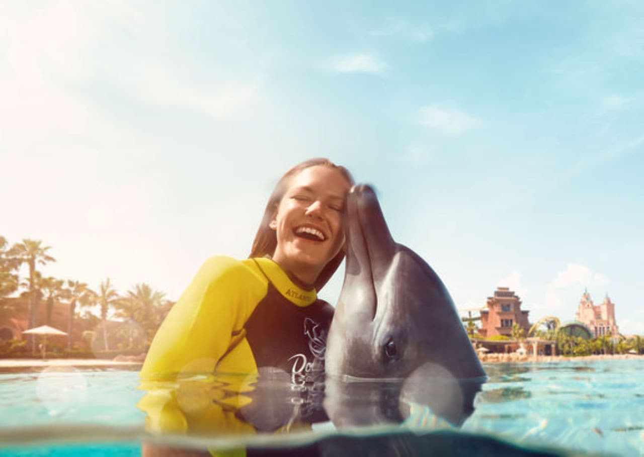 Atlantis Aquaventure World Dubai - Dolphin and Sea Lion Experiences at Atlas Village - მთავარი სურათი