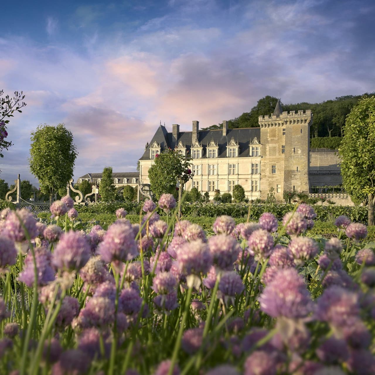 Château de Villandry Ticket - მთავარი სურათი