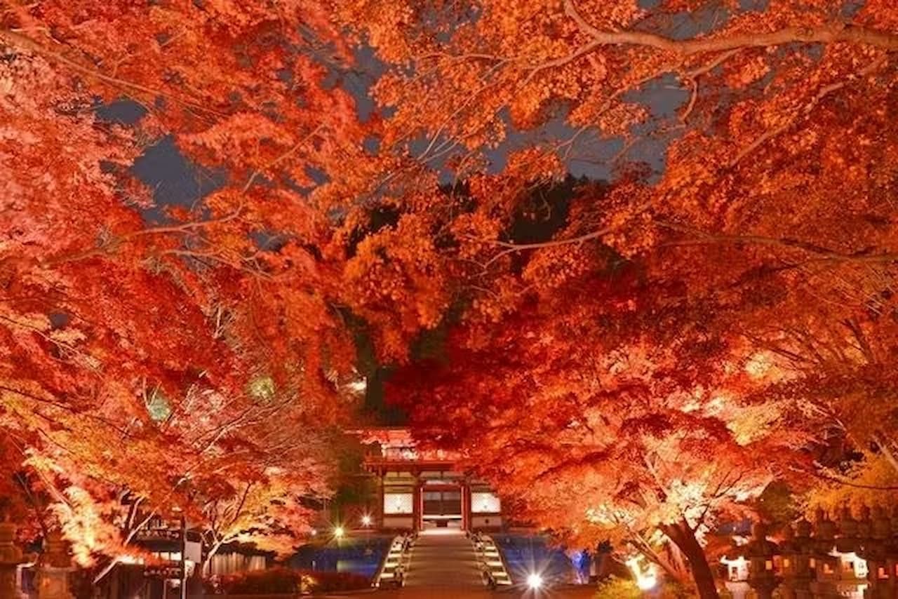 Katsuo-ji Temple Ticket - სურათი 3