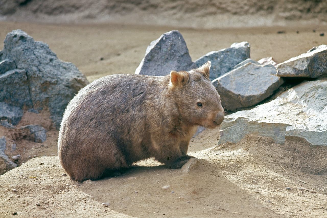 San Diego CityPASS - სურათი 14