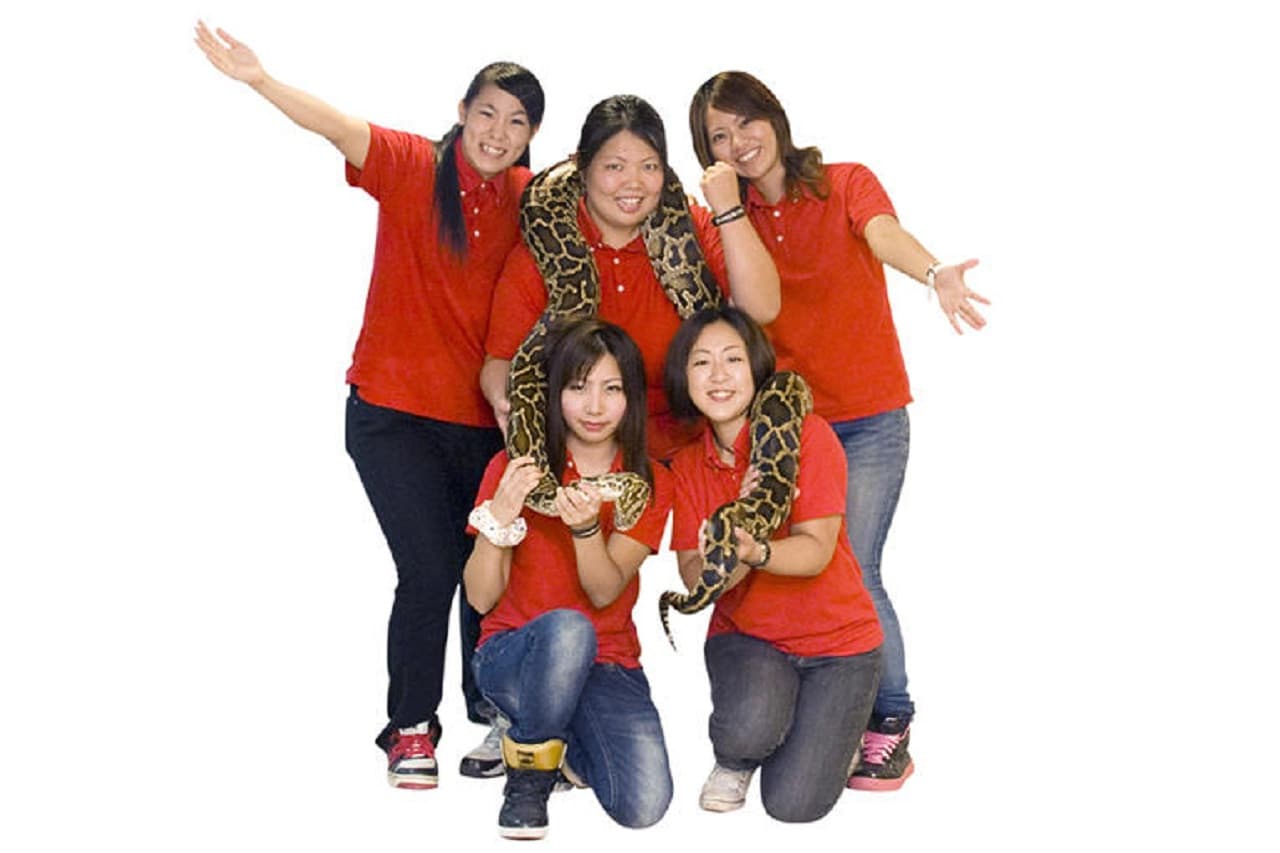 Okinawa World Pass - სურათი 15