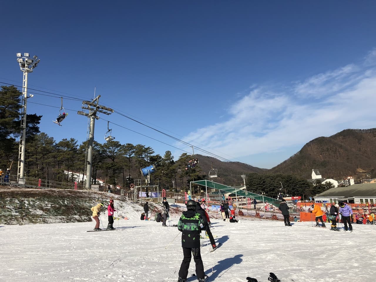 Jisan Forest Ski Resort Full-Day Tour from Seoul - სურათი 7