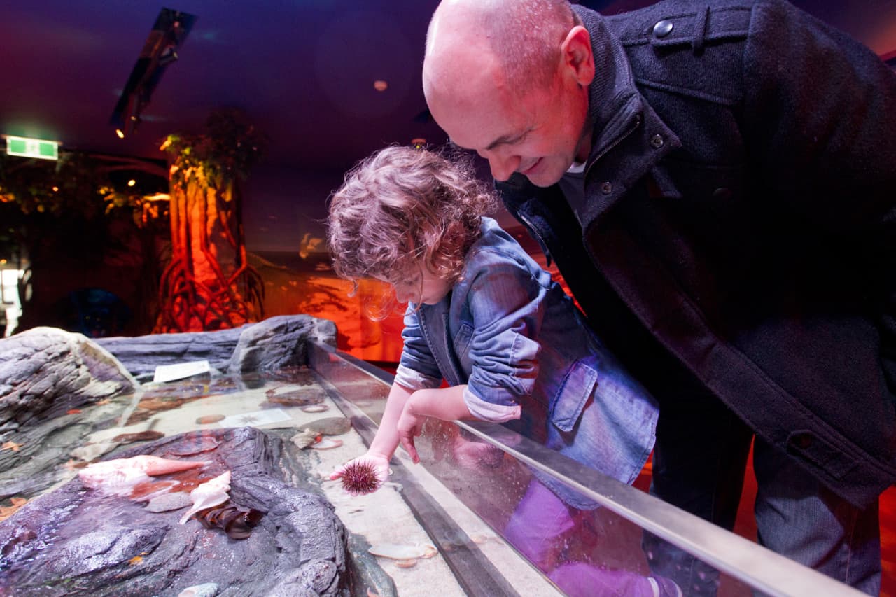 COMBO: Melbourne Skydeck + SEA LIFE Melbourne Aquarium Tickets - სურათი 9