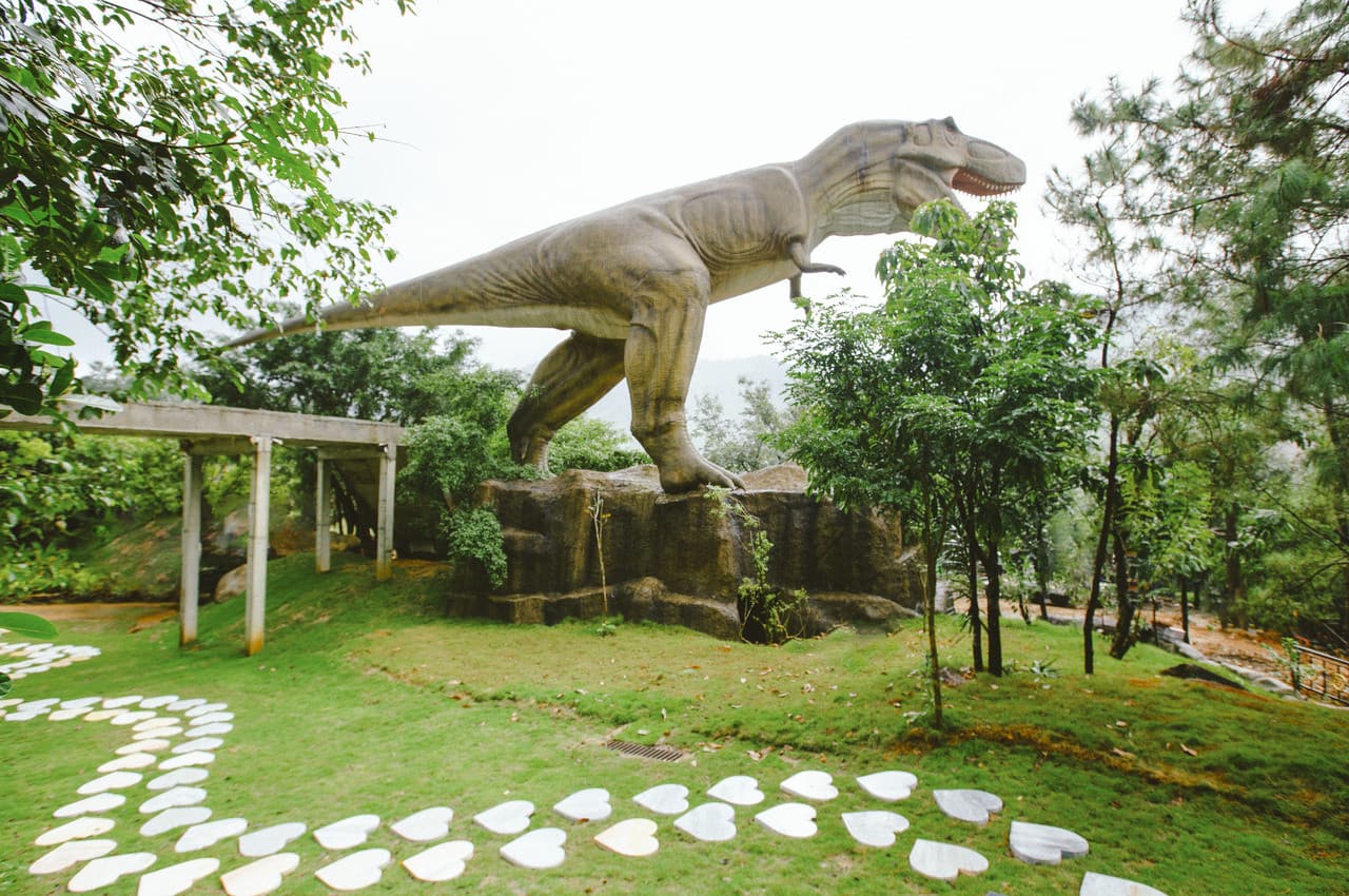 Nui Than Tai Hot Springs Park - სურათი 18
