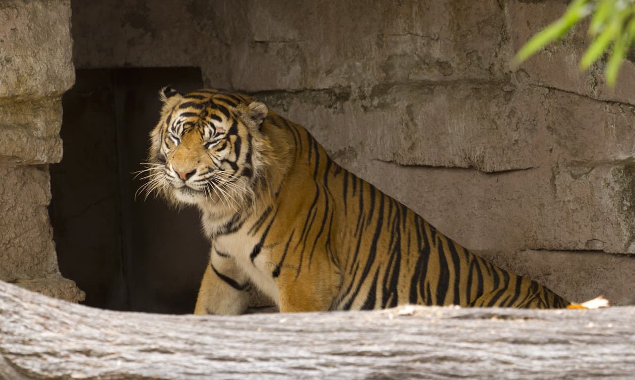 Barcelona Zoo - სურათი 4