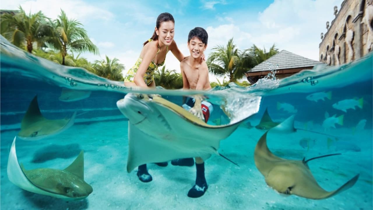 Ultimate Marine Life Experience at Adventure Cove Waterpark - მთავარი სურათი