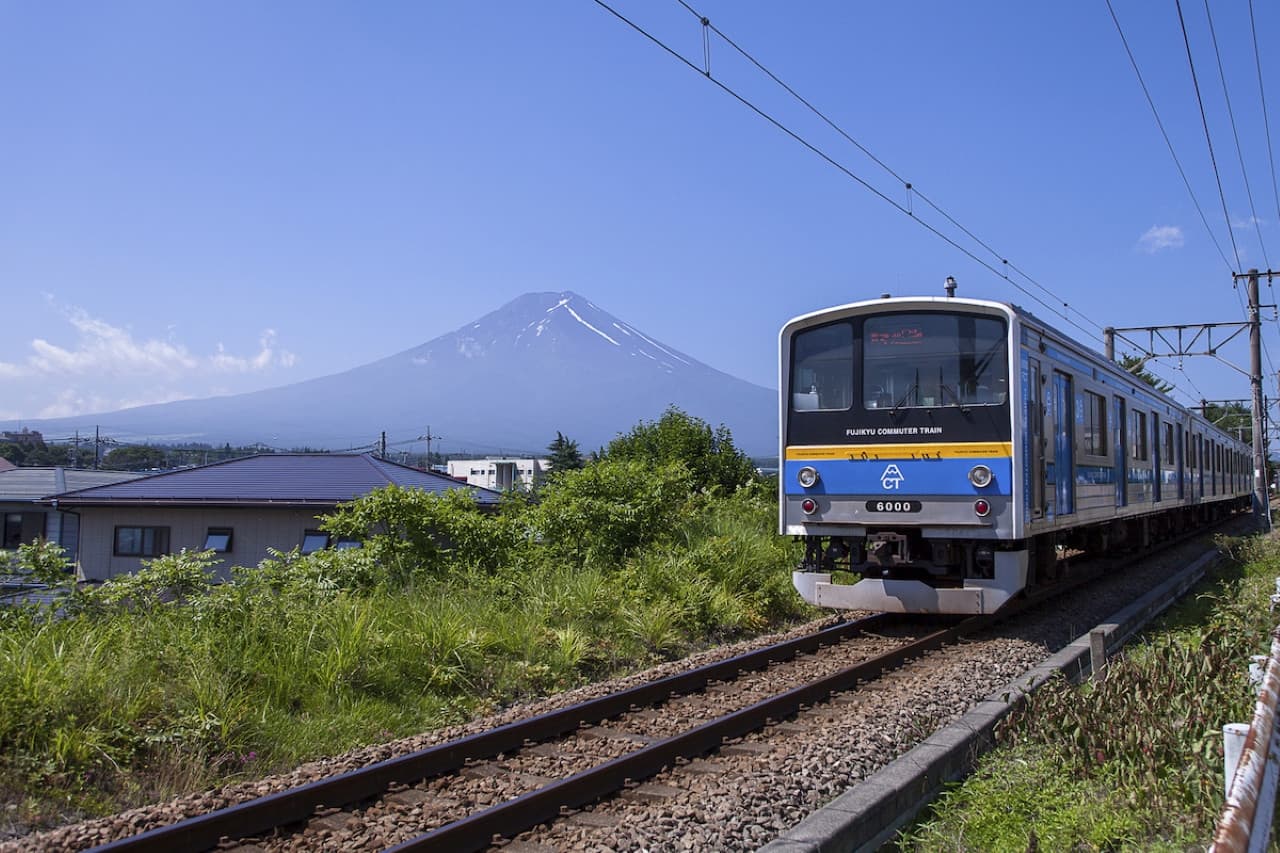 Fuji Hakone Pass - სურათი 7
