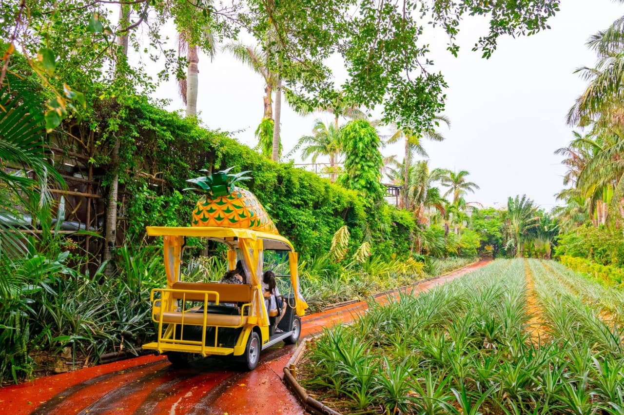 Okinawa Nago Pineapple Park - მთავარი სურათი