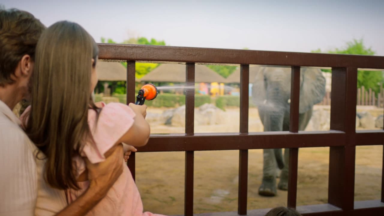 Dubai Safari Park Ticket - სურათი 19