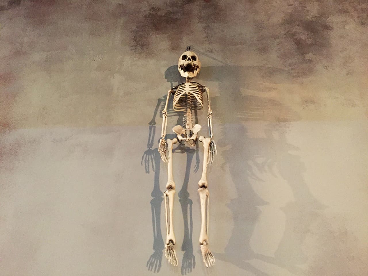 Seoul Trick Eye Museum - სურათი 18