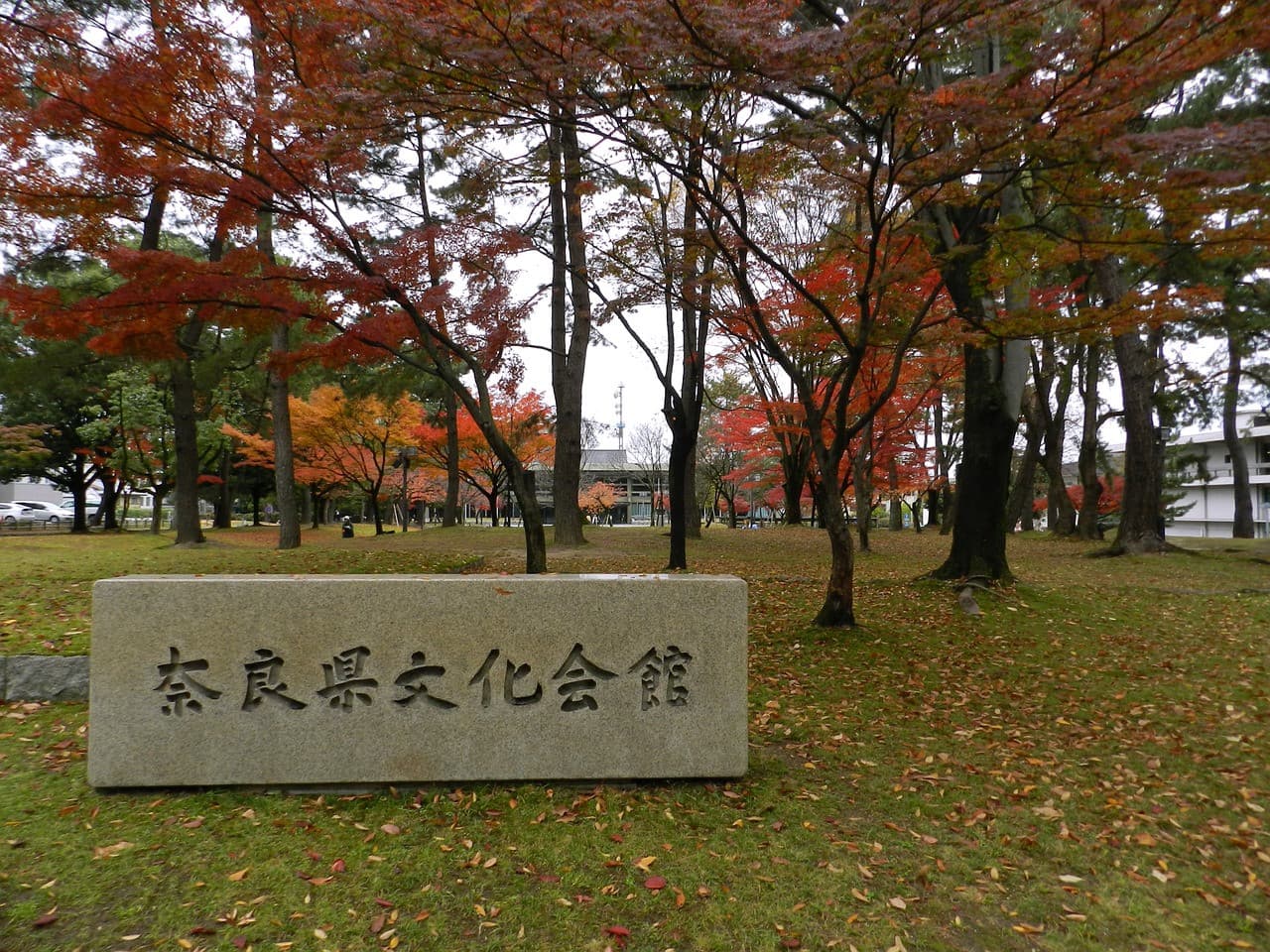Nara Tour from Kyoto - სურათი 3