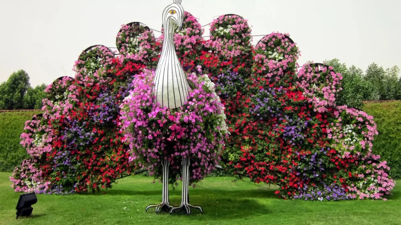 Dubai Miracle Garden Ticket - სურათი 8