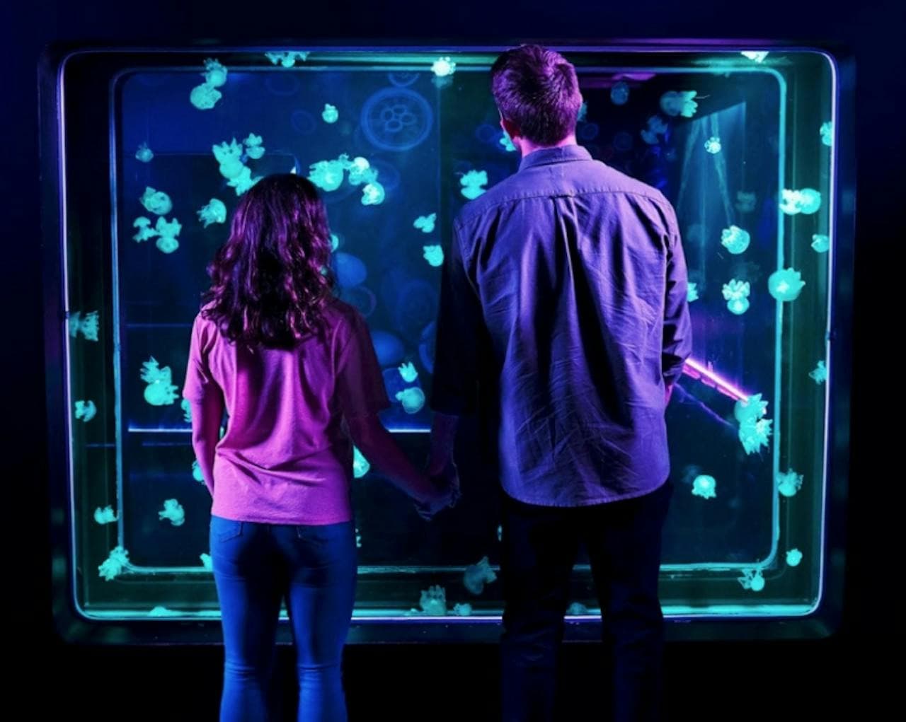 SEA LIFE New Jersey Aquarium Ticket - სურათი 3