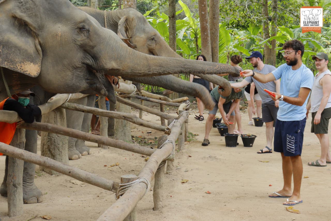 Elephant Jungle Sanctuary Koh Samui - სურათი 7