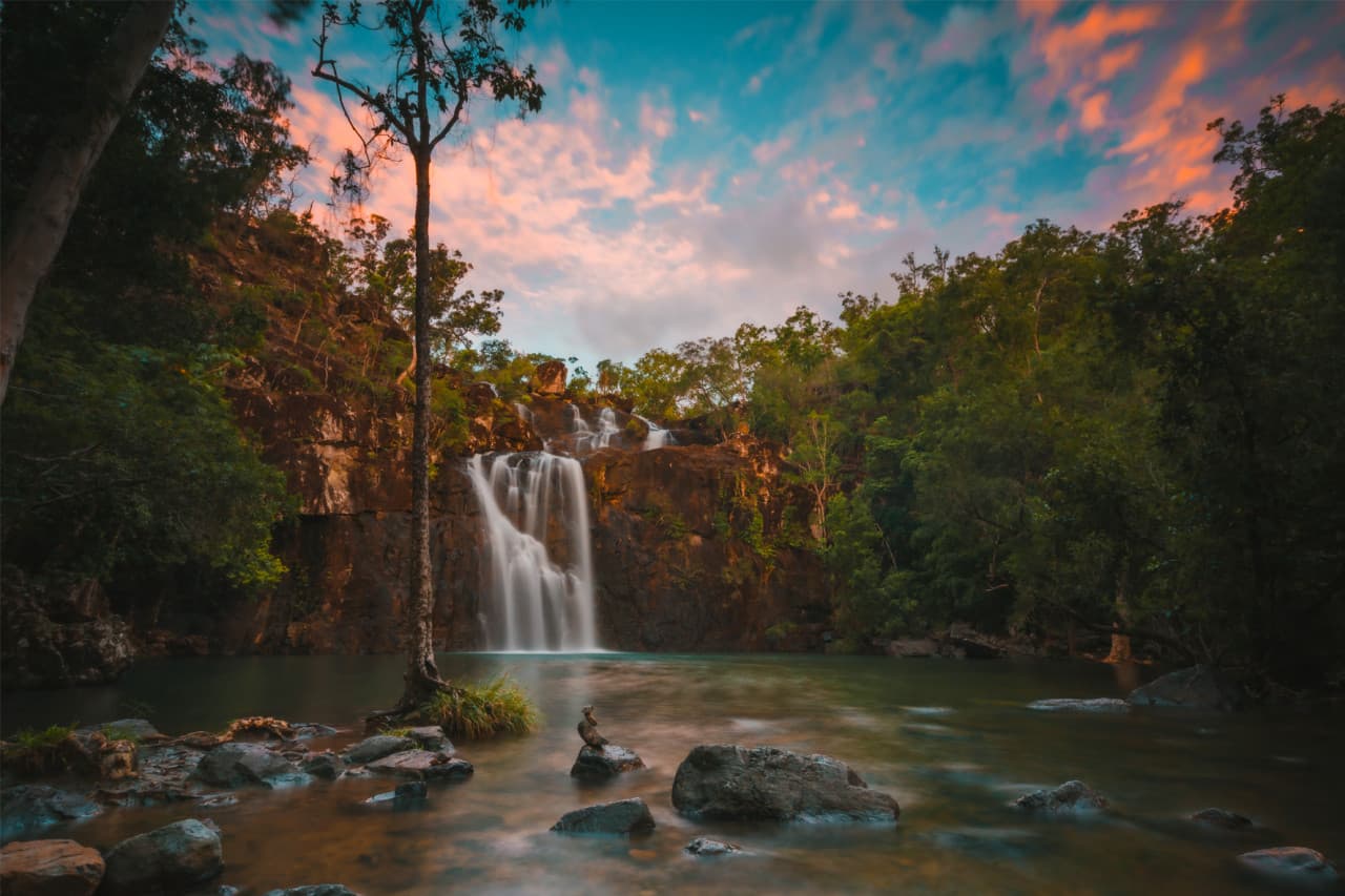 Cedar Creek Falls Tour - მთავარი სურათი