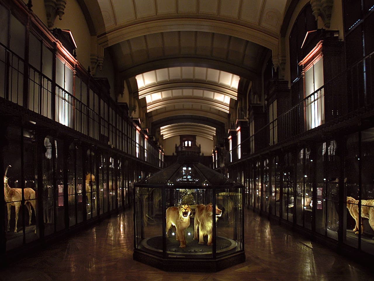 Grande Galerie de l'Évolution: Skip The Line - სურათი 3
