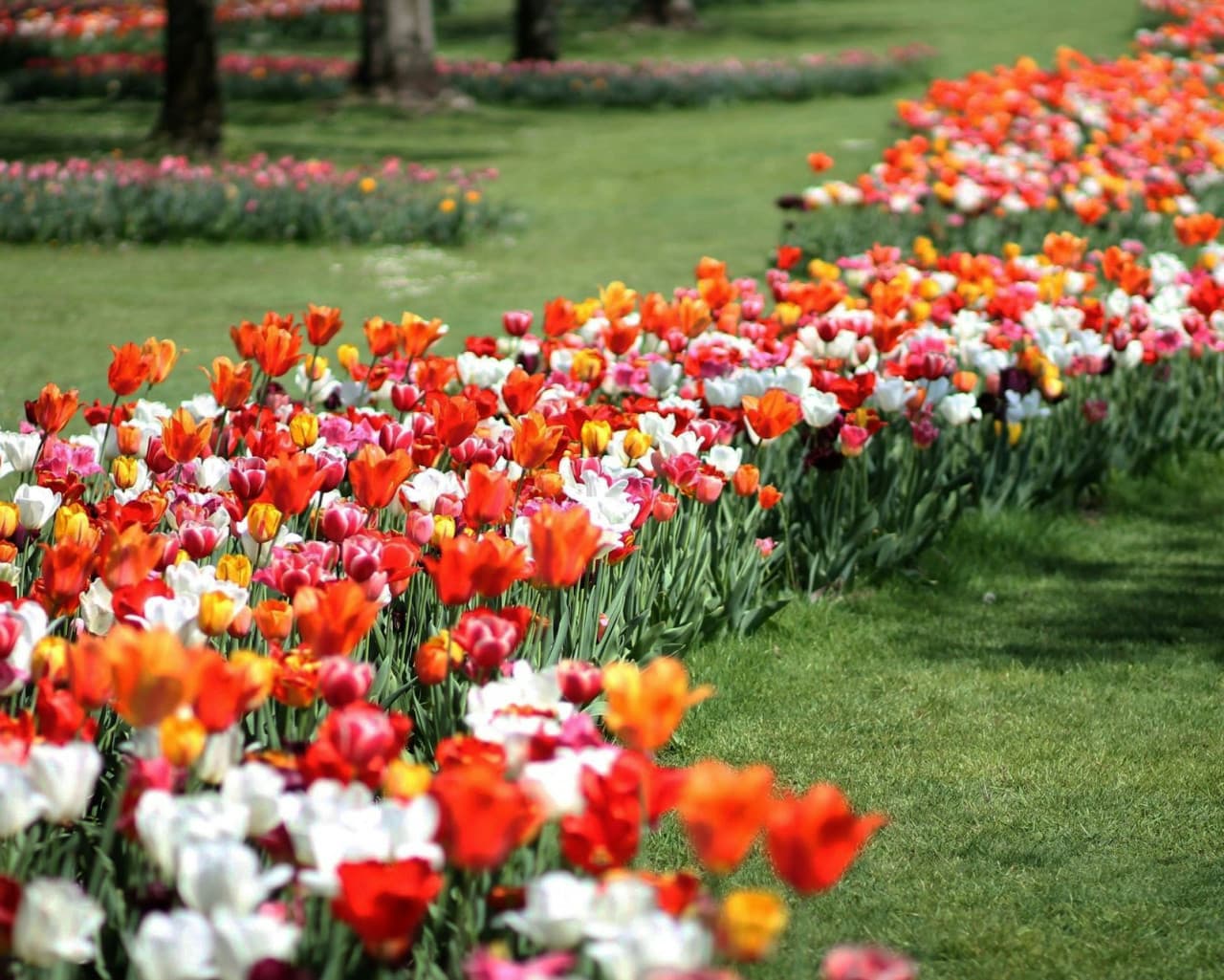 Parco Giardino Sigurtà Ticket - სურათი 8