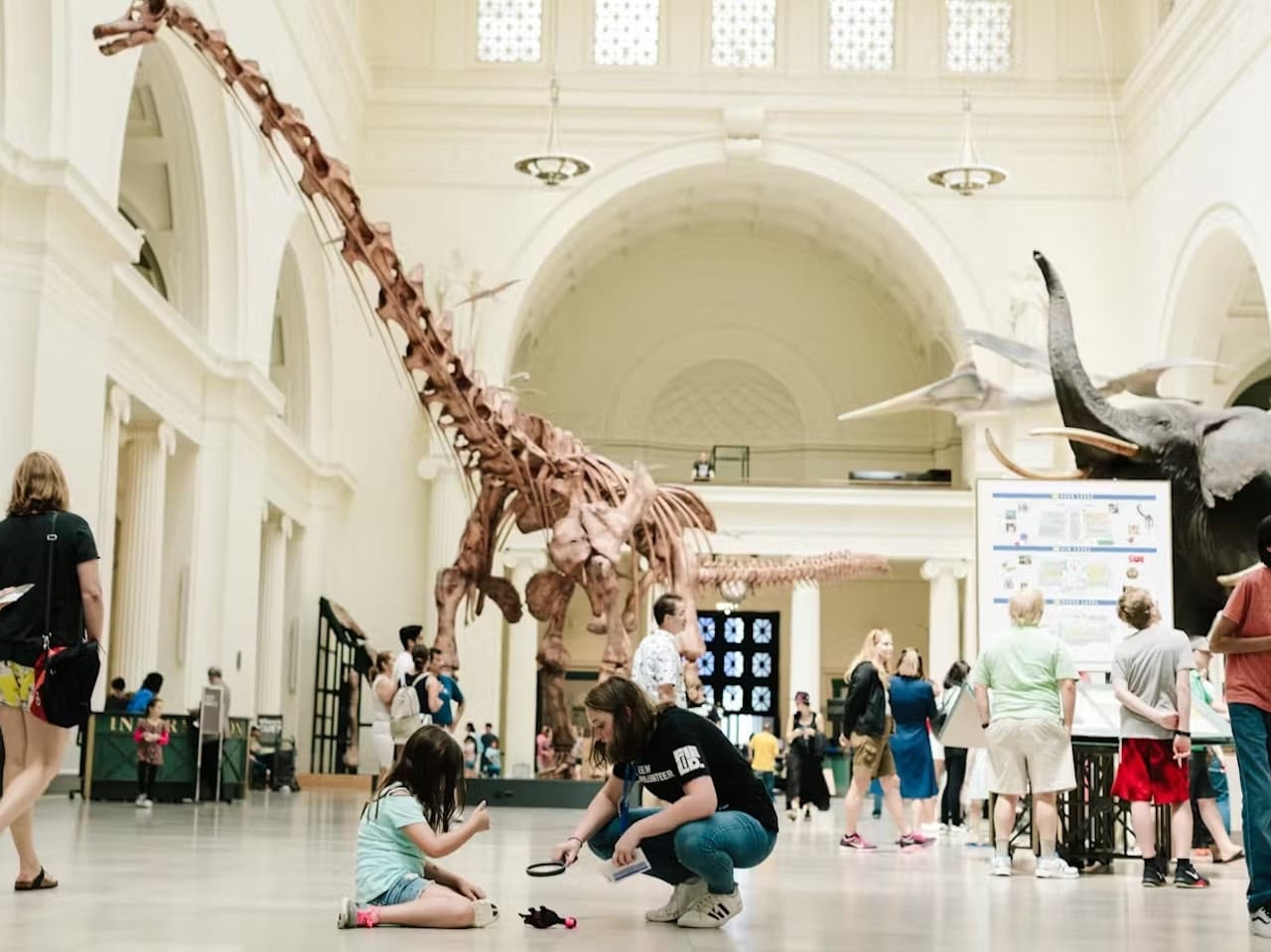 The Field Museum of Natural History Ticket - სურათი 10