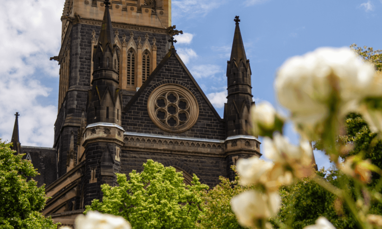 Melbourne City Discovery Tour with Penguin Parade - სურათი 6