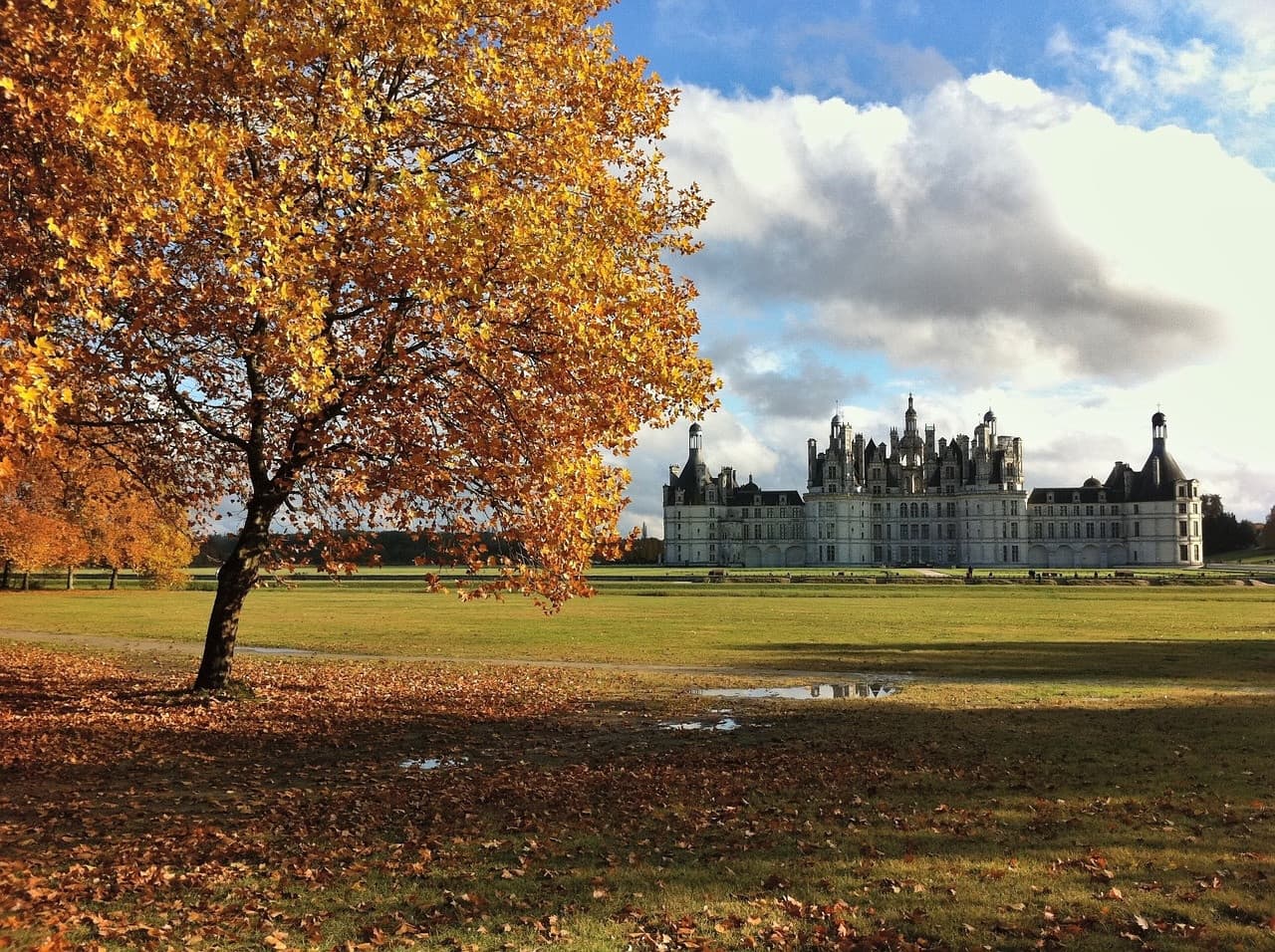 Loire Valley Tour from Paris: Chambord, Chenonceau, and Cheverny Castles - სურათი 4