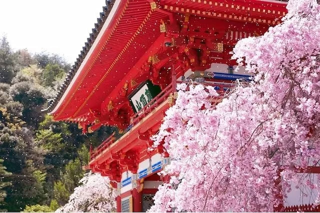 Katsuo-ji Temple Ticket - სურათი 4