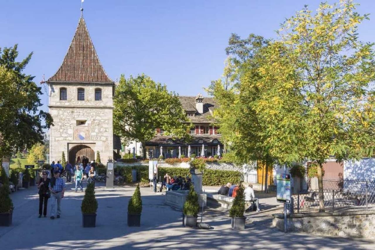 Rhine Falls Tour from Zurich - სურათი 5
