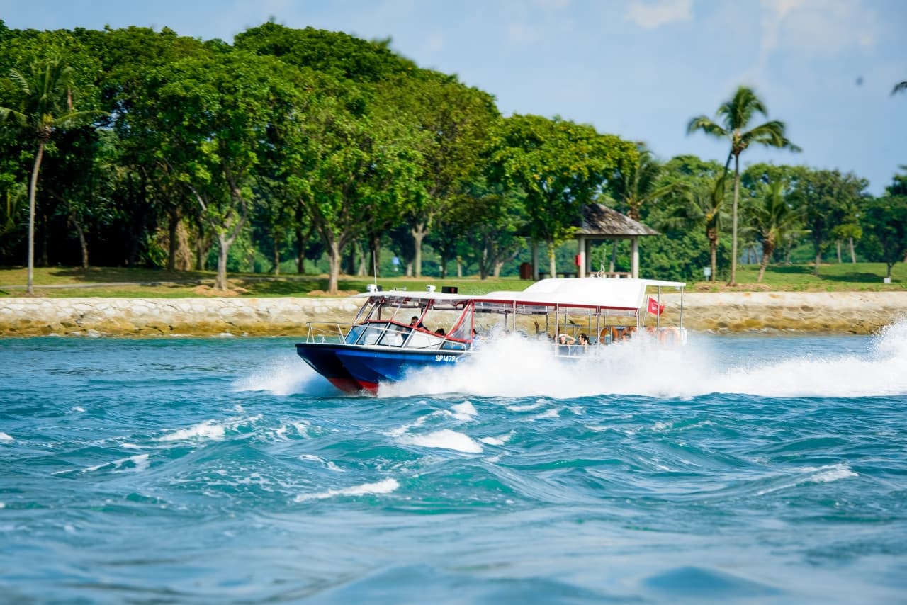 COMBO: Singapore Oceanarium + Albatross Hop-On Hop-Off Speedboat Tickets - სურათი 7