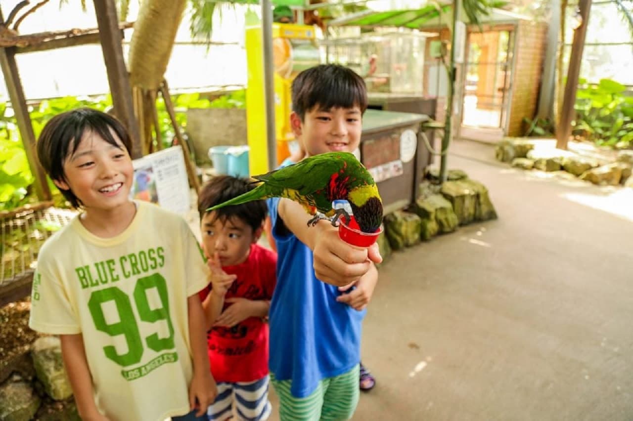 Okinawa Tropical Fruits Land - სურათი 6