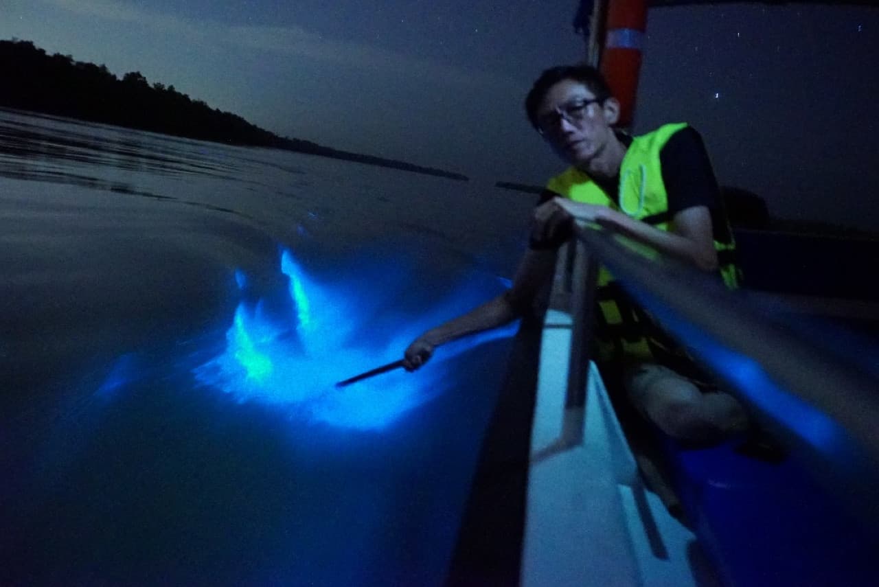 Blue Tears Boat Cruise in Kuala Selangor - სურათი 3