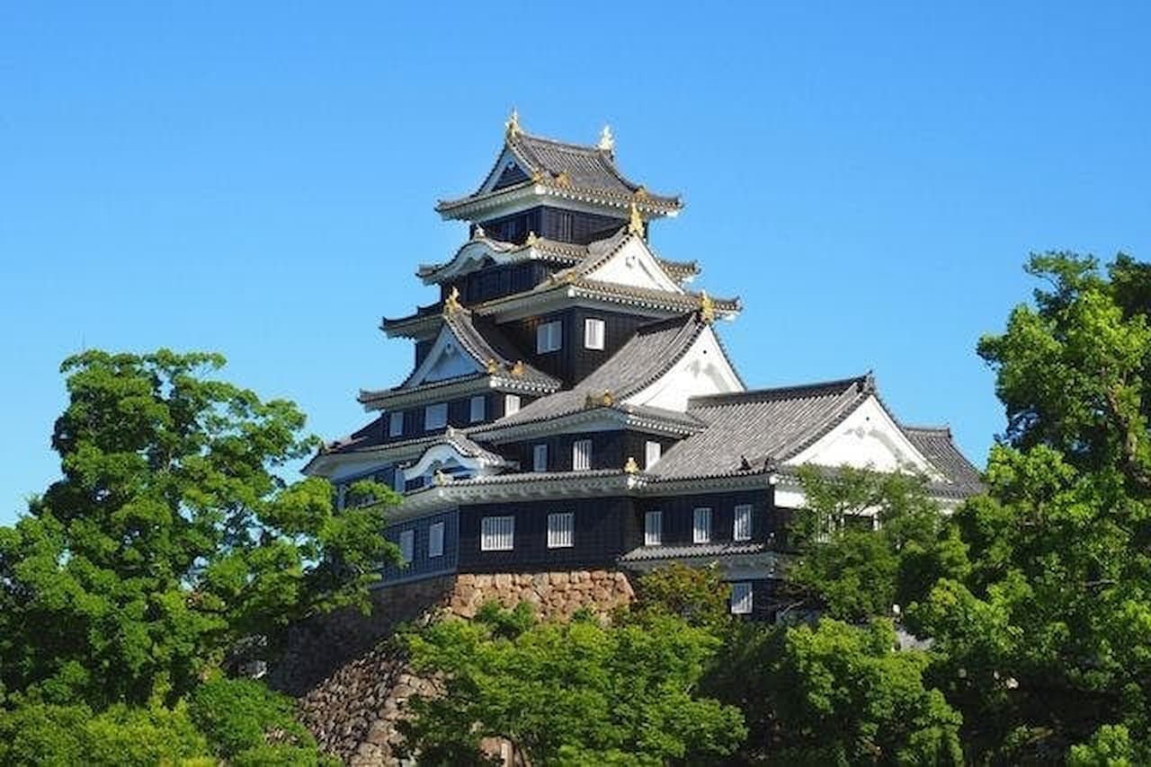 Okayama Castle Ticket - სურათი 3