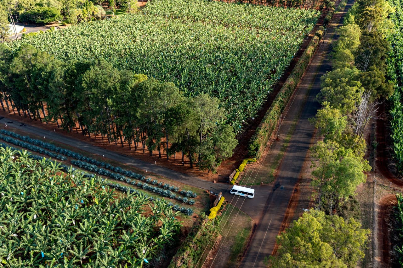Australian Outback Food and Wine Tasting Tour from Cairns and Northern Beaches - სურათი 10