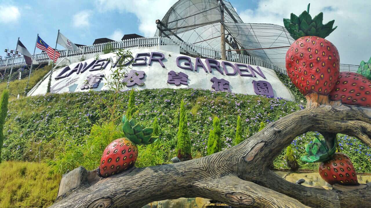Cameron Highlands Tour from Kuala Lumpur - სურათი 5