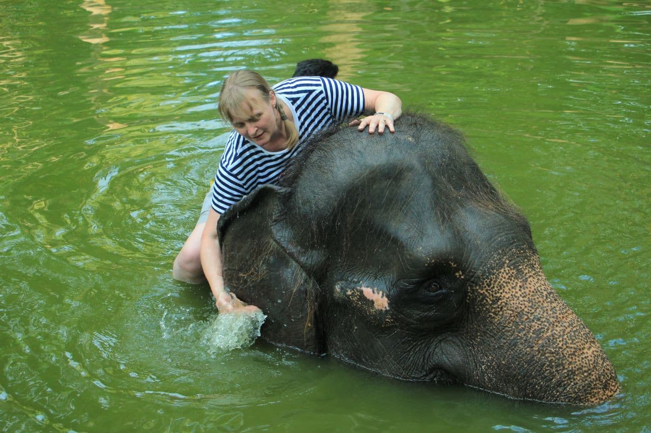 Lombok Wildlife Park Elephant Bath Experience - მთავარი სურათი