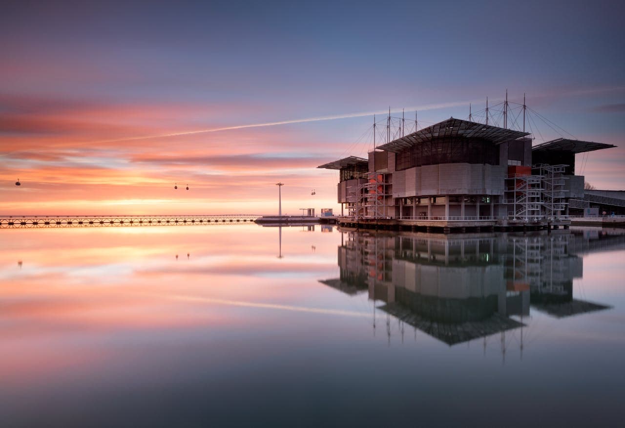 Oceanário de Lisboa Ticket - სურათი 8