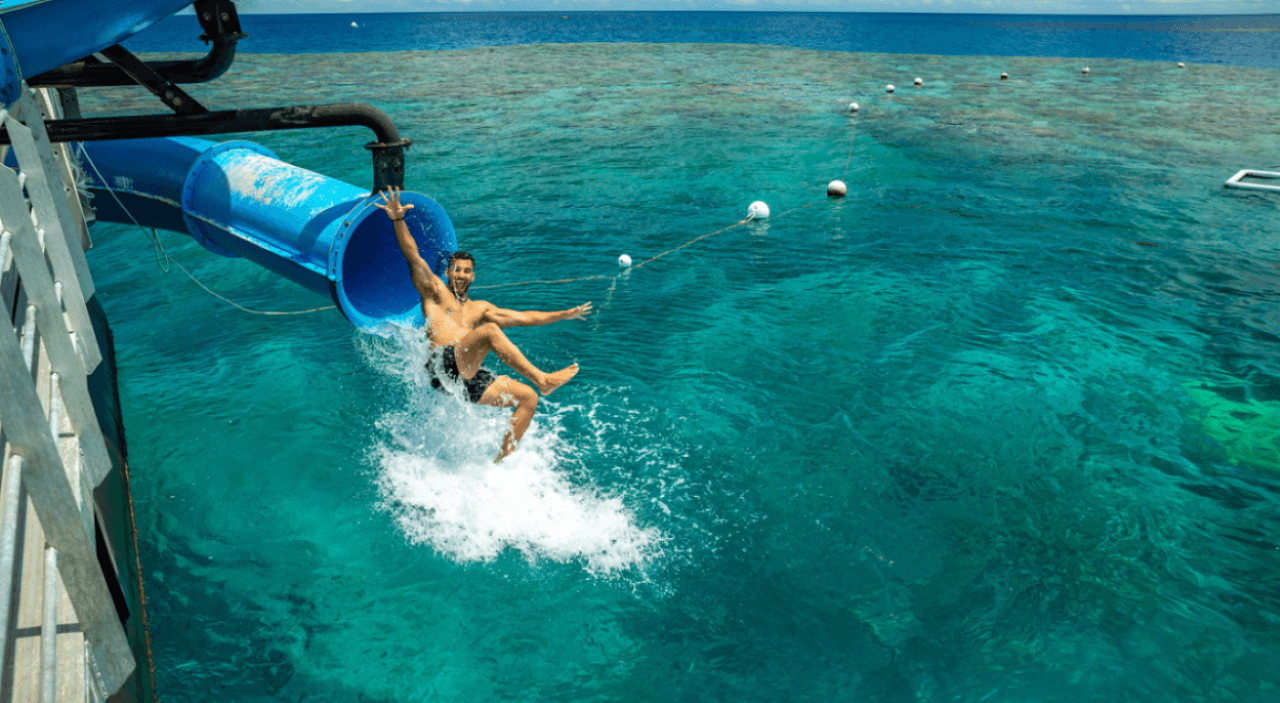 Great Barrier Reef Pontoon Full-Day Tour at Moore Reef - სურათი 6