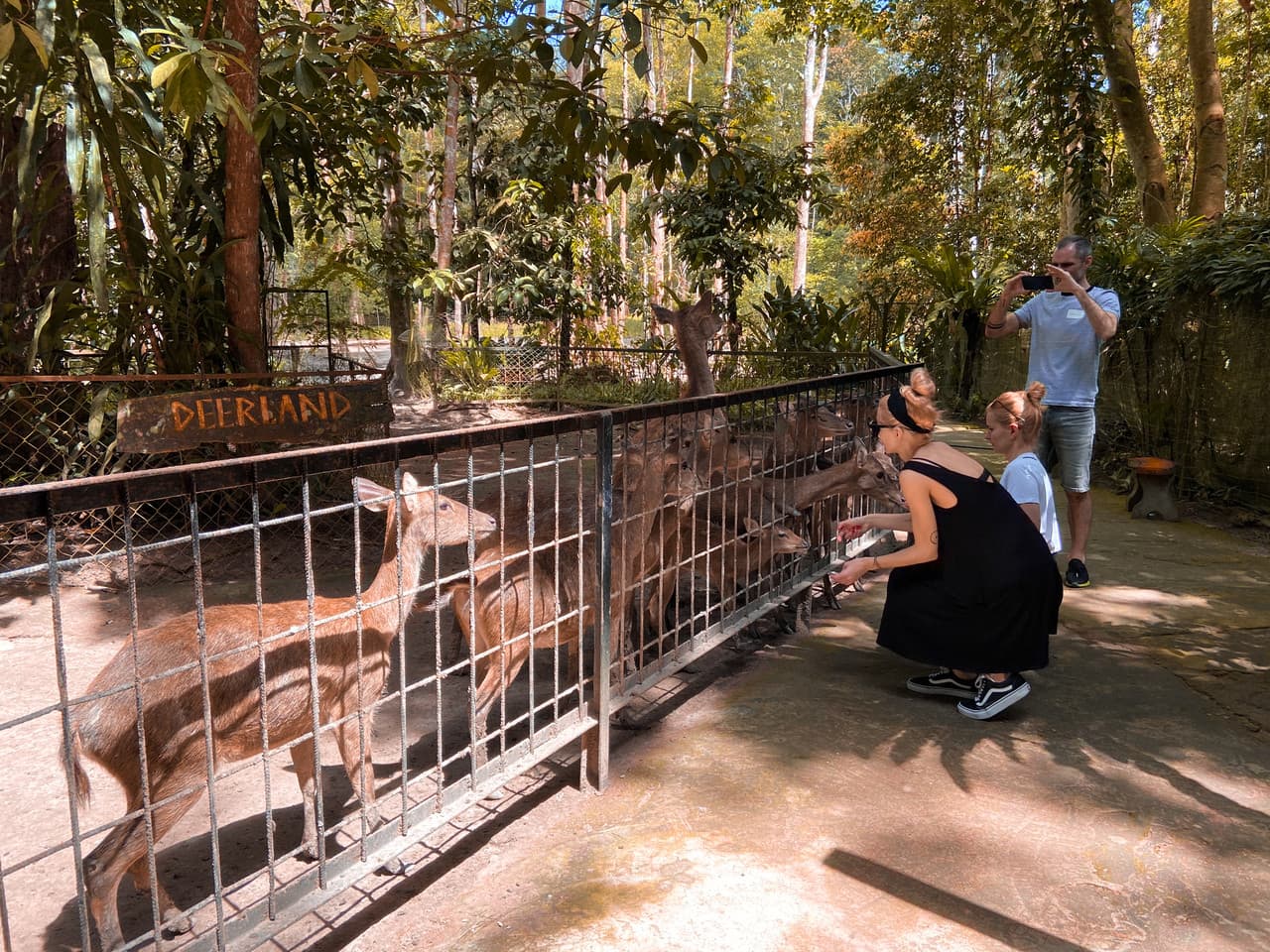 Batu Caves and Kuala Gandah Elephant Sanctuary Full-Day Tour from Kuala Lumpur - სურათი 11