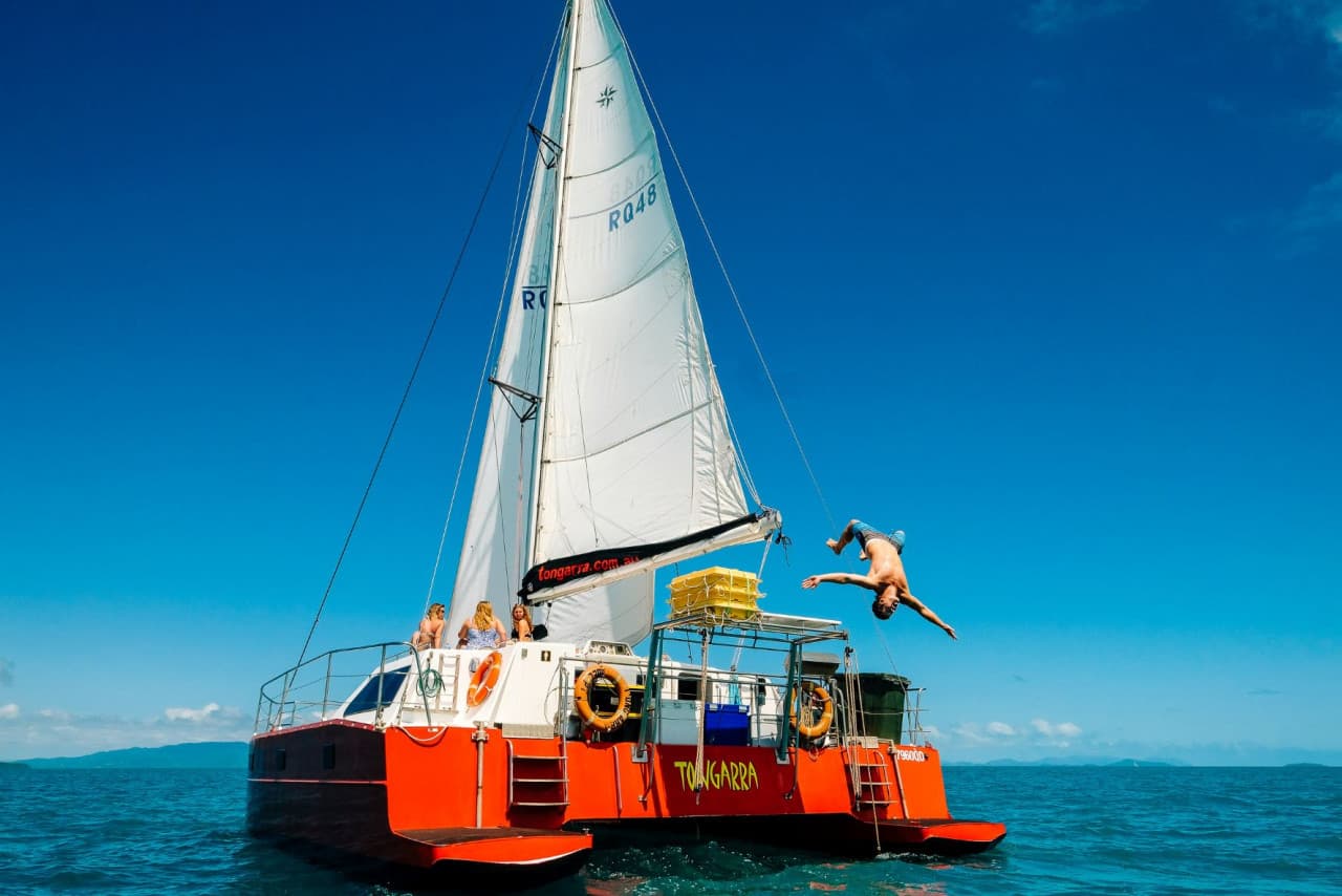 Tongarra Day Sailing Tour - სურათი 13