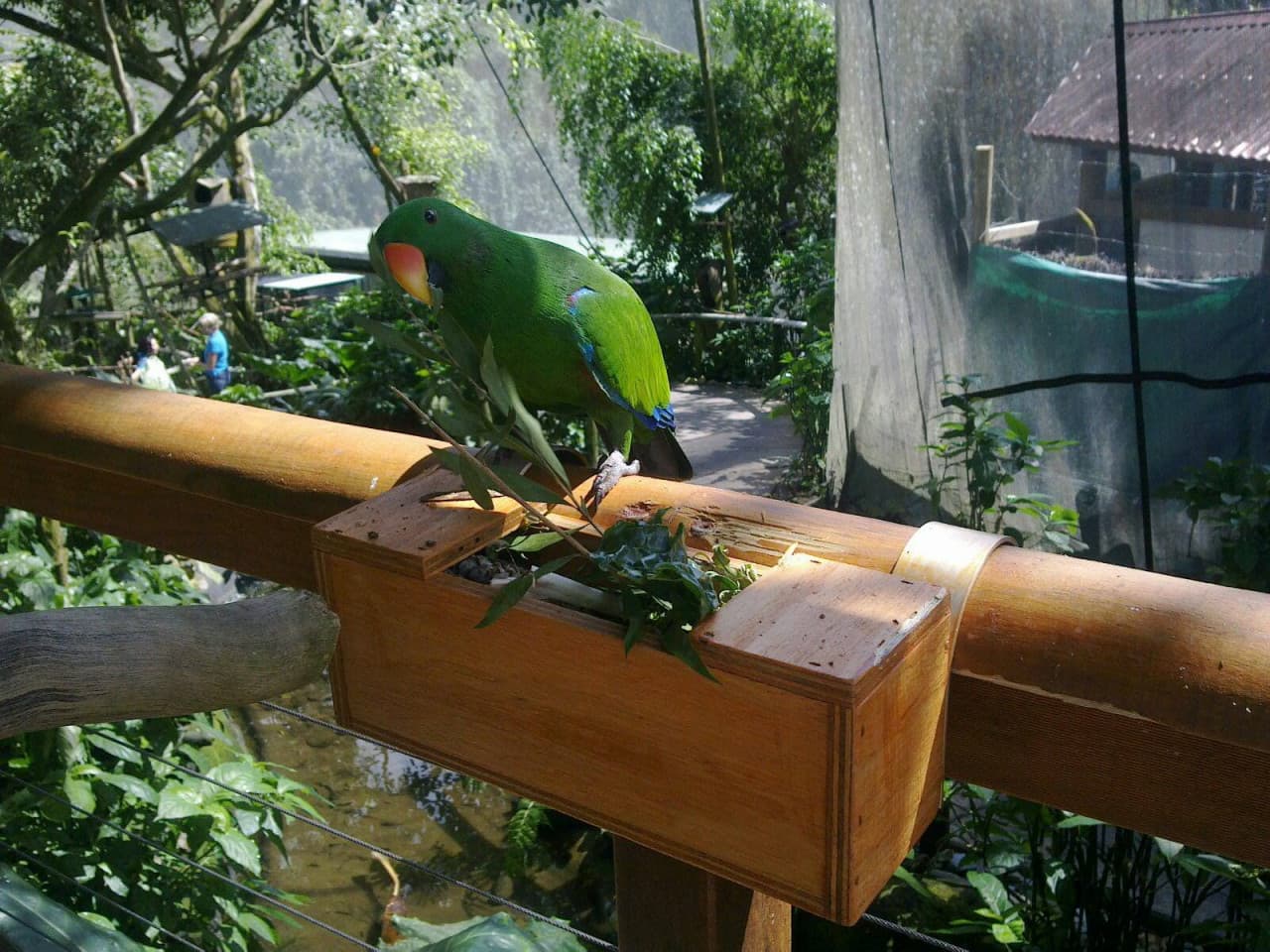 Birdworld Kuranda - სურათი 5