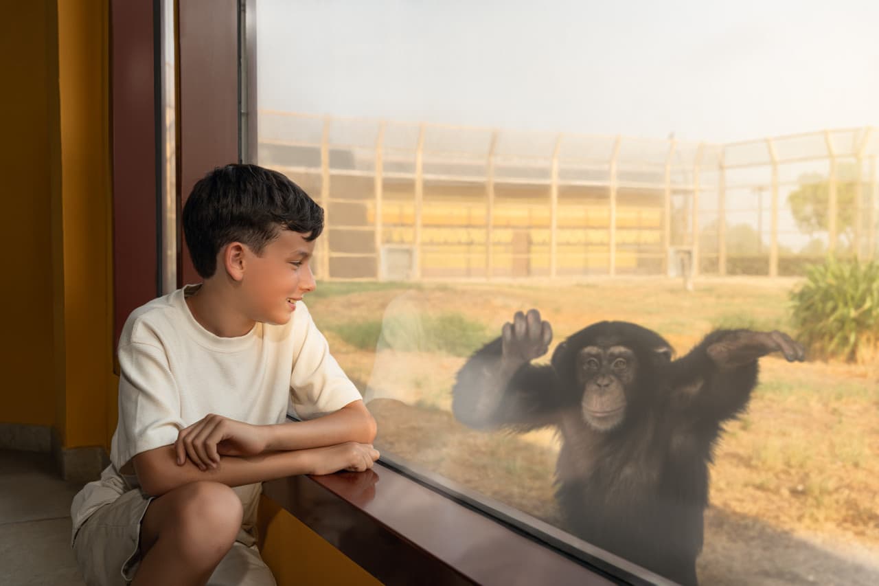 Dubai Safari Park Ticket - სურათი 16