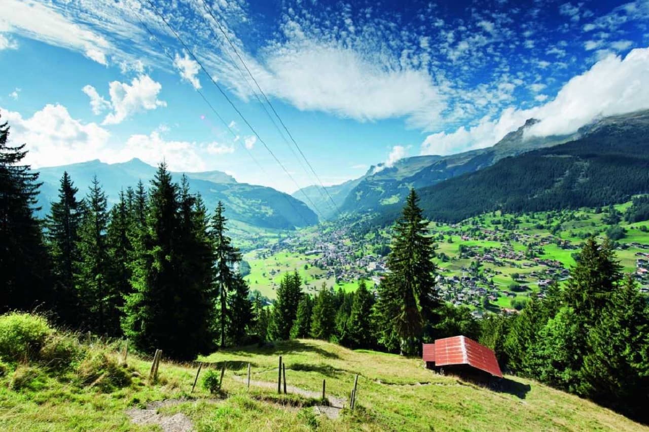 Grindelwald, Interlaken, and Lauterbrunnen Full-Day Tour - მთავარი სურათი