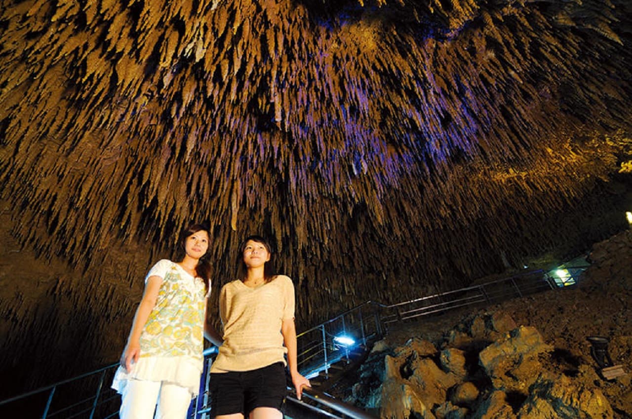 Okinawa World Pass - სურათი 4