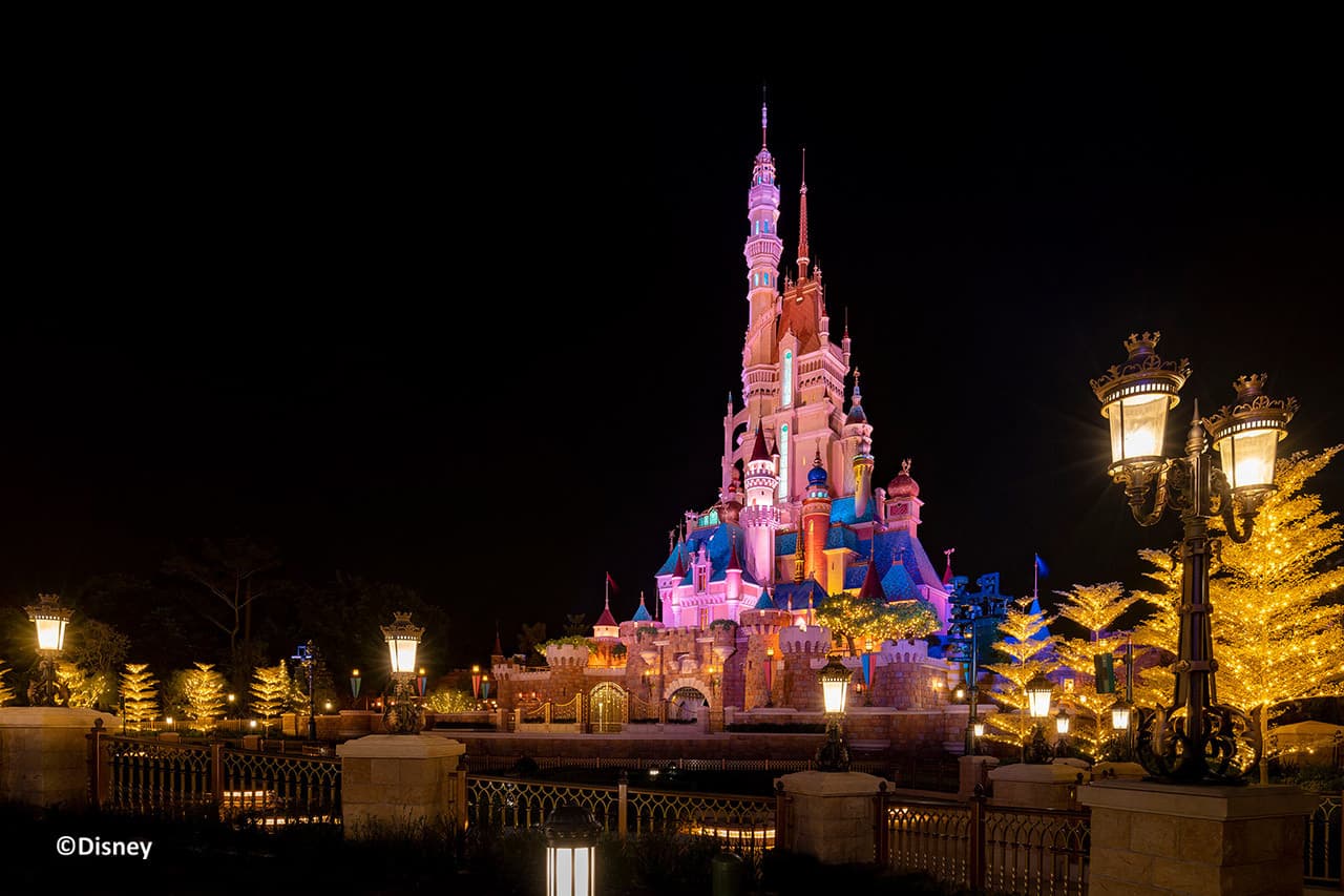 Hong Kong Disneyland Disney Premier Access Ticket - სურათი 40