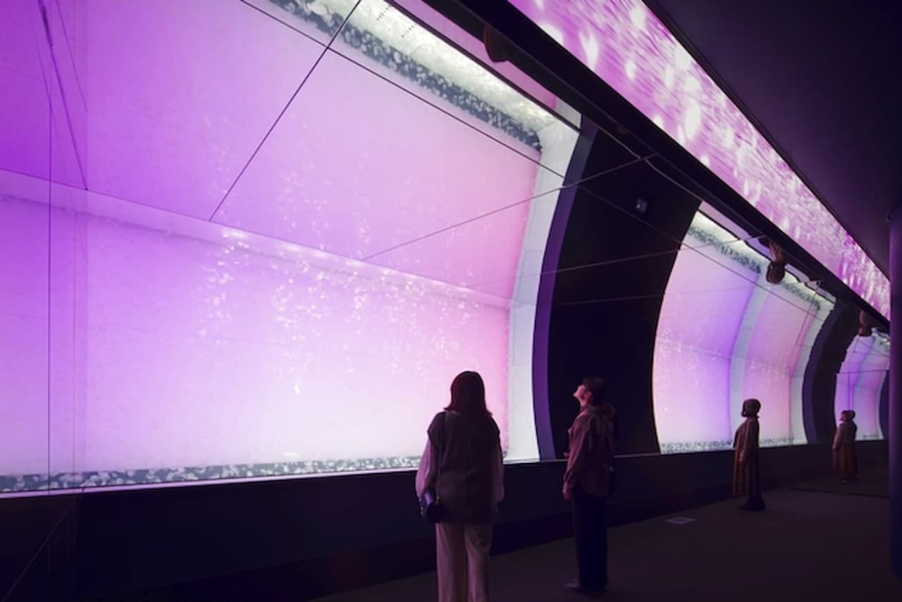 Aqua World Ibaraki Prefectural Oarai Aquarium Ticket - სურათი 5