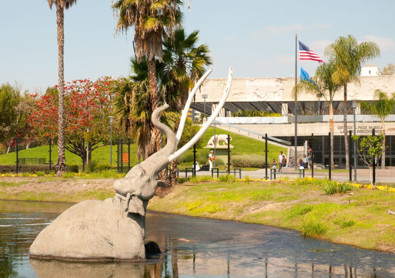 Go City Los Angeles All-Inclusive Pass: Save up to 50% on Attractions - სურათი 13