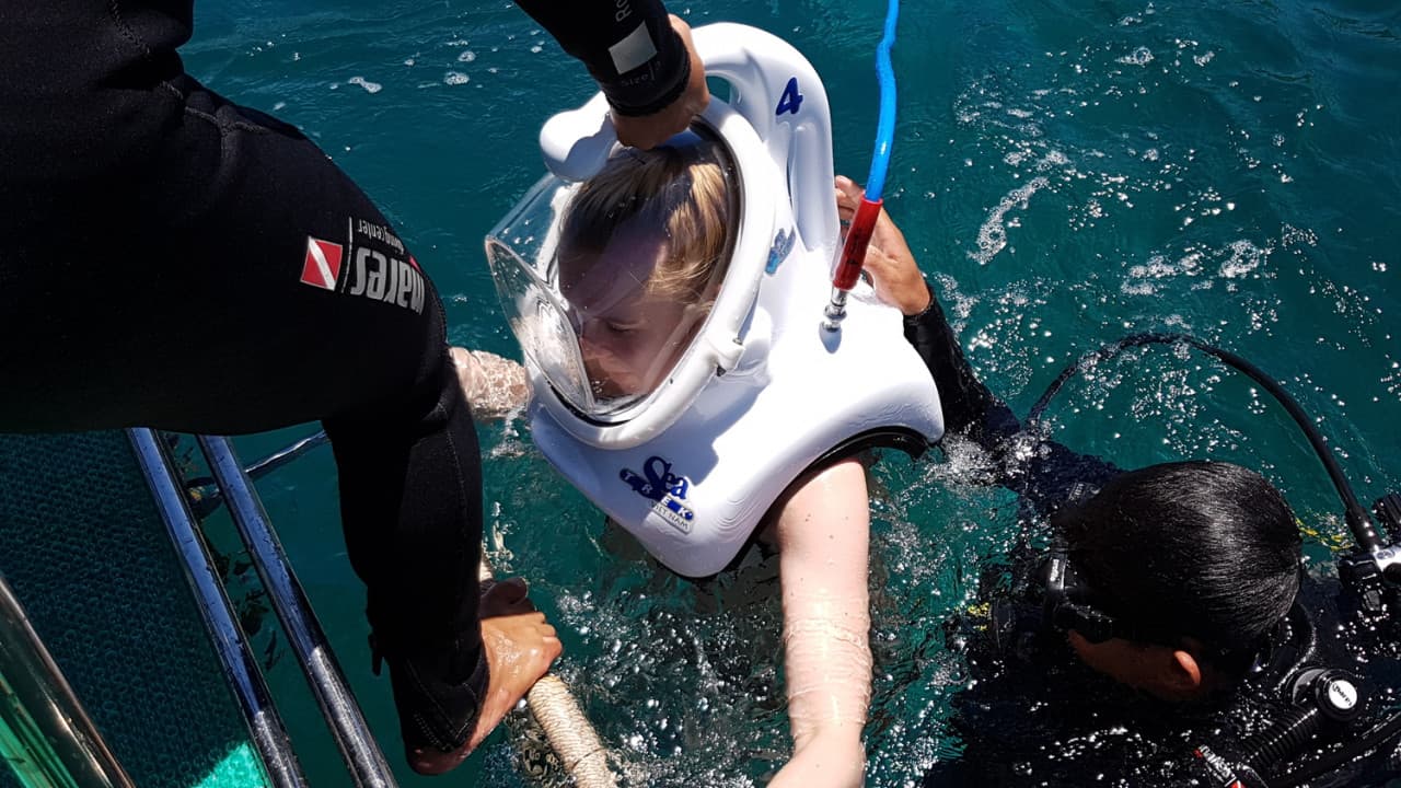 Cham Islands Underwater Walking and Snorkelling Half-Day Tour from Da Nang - სურათი 7