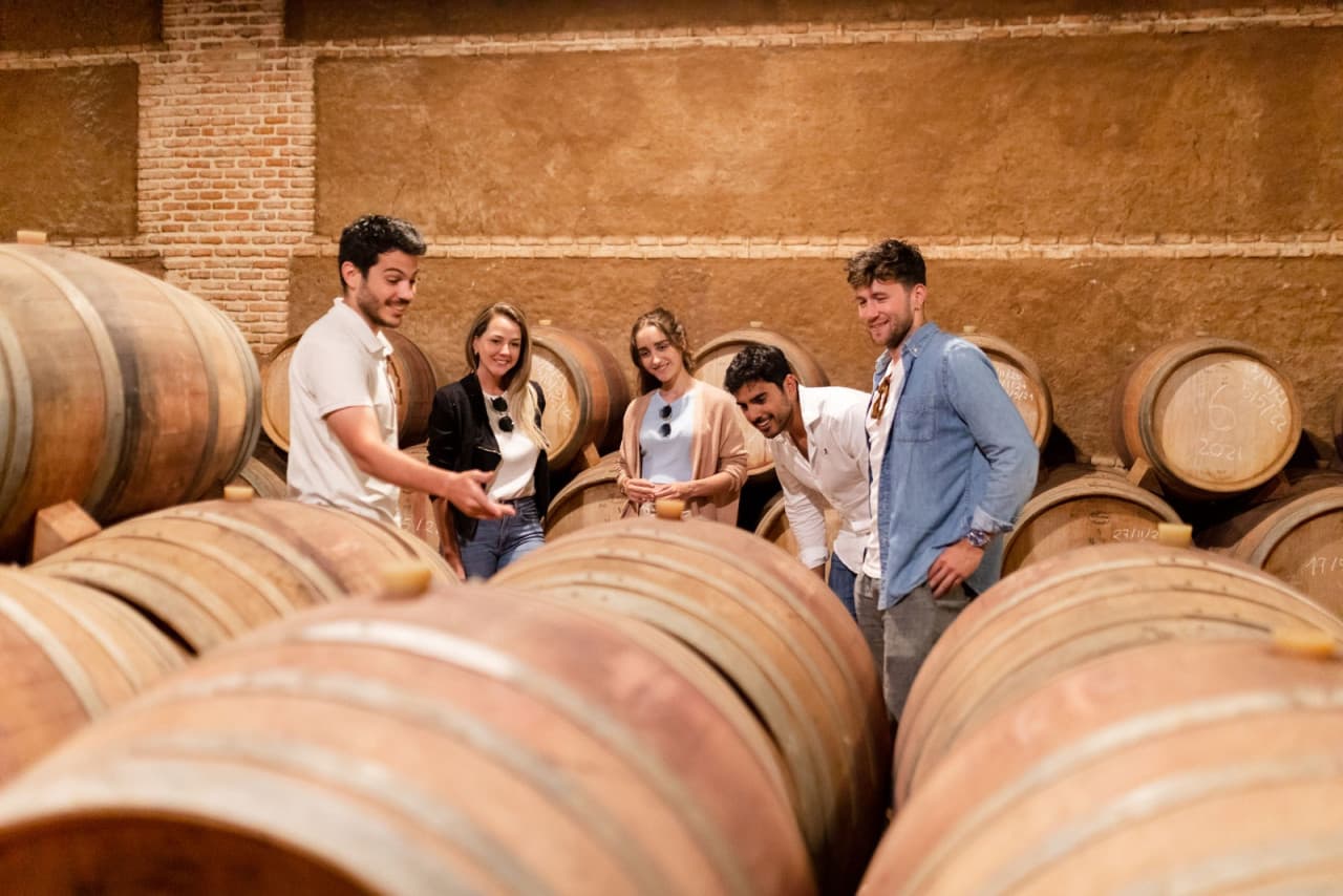 Toledo City Tour from Madrid with Wine Tasting Experience - სურათი 7